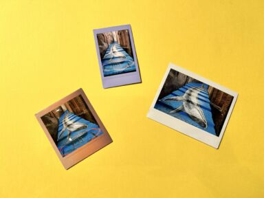 Les Differents Format De Films Instax Mini Square Et Wide