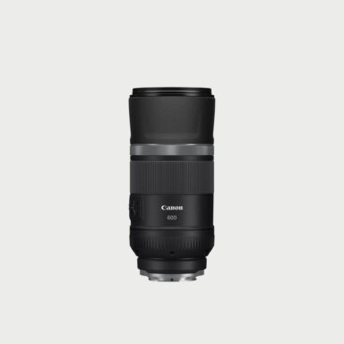 Canon Rf 600mm F 11 Is Stm Lens