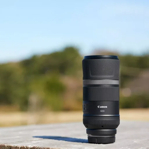 Canon Rf 600mm F 11 Is Stm Lens